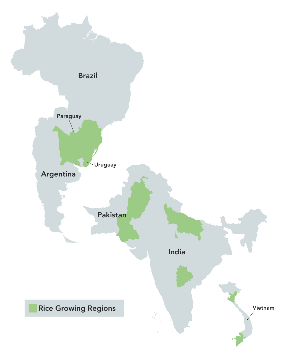 International Rice Methane Reduction Project - AgriCapture