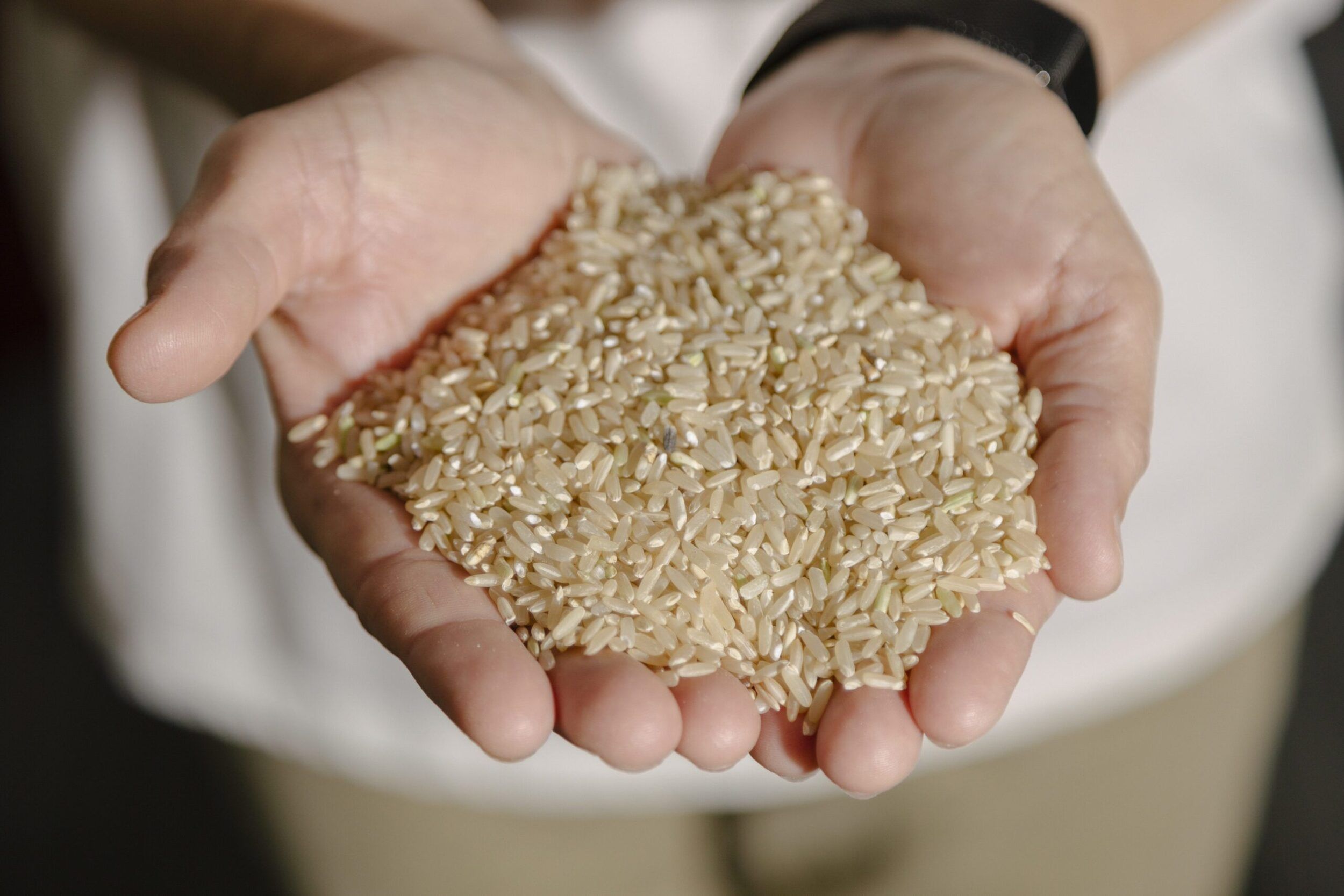 US Regenerative Rice Sourcing | AgriCapture