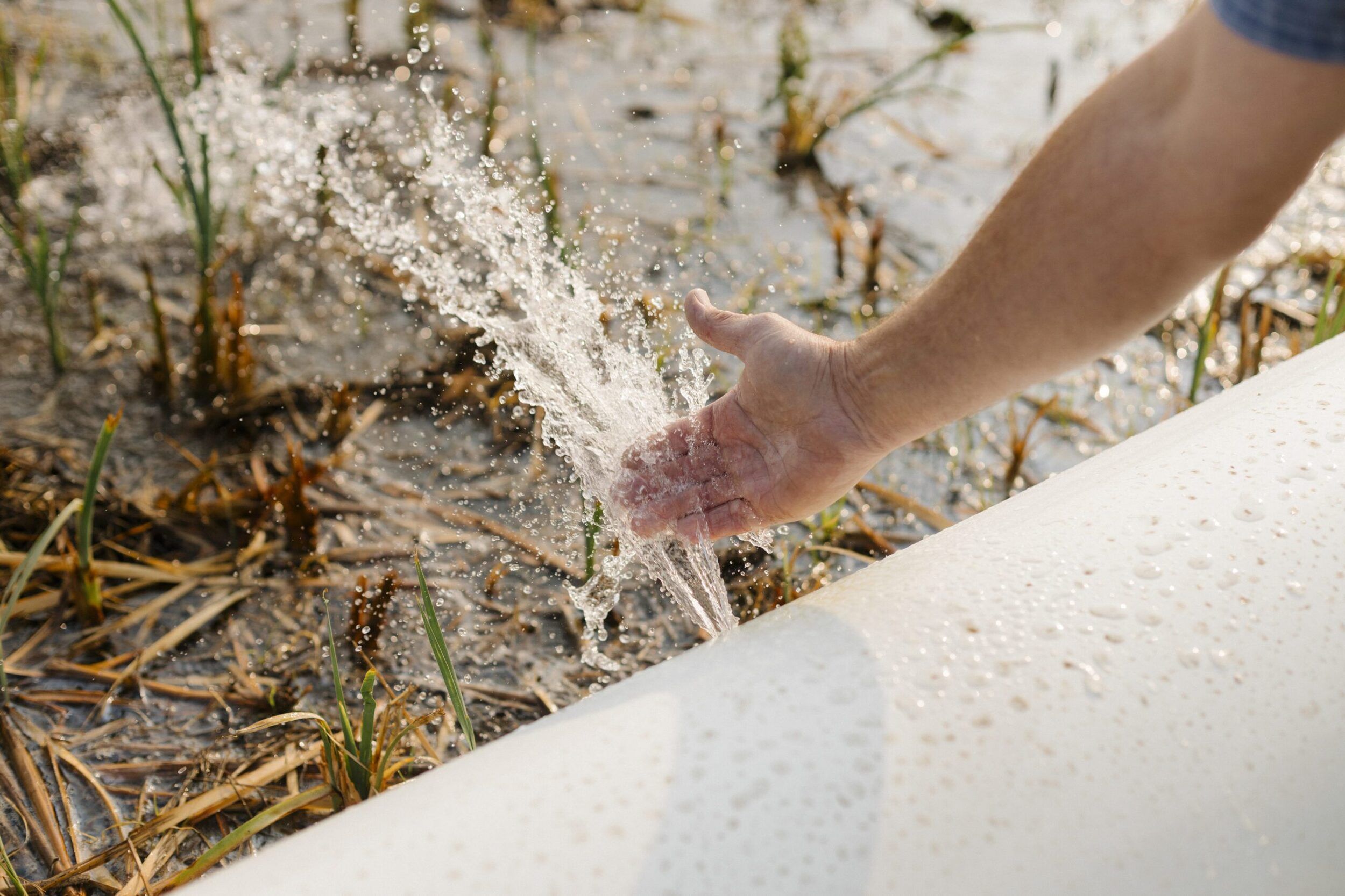 Gested Water Building Markets for Water Stewardship